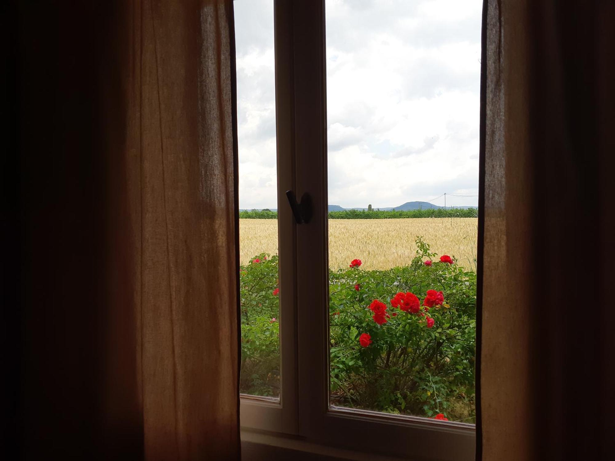 Chambres D'Hotes, B&B La Musardiere Alba-la-Romaine Exteriör bild